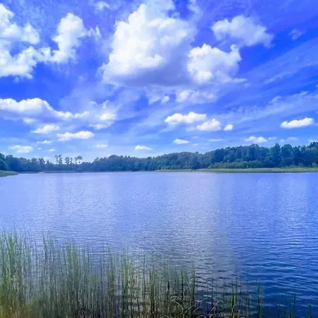 Nad Kamieniem - Caloroczne بيت للعطل Dolgie