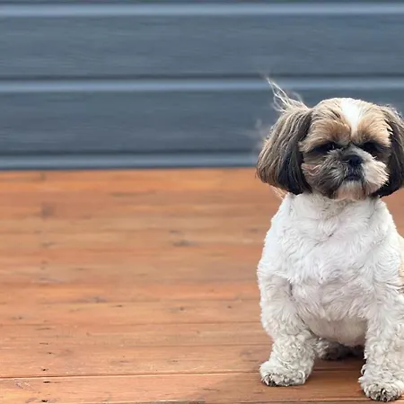 بيت للعطل Nad Kamieniem - Caloroczne