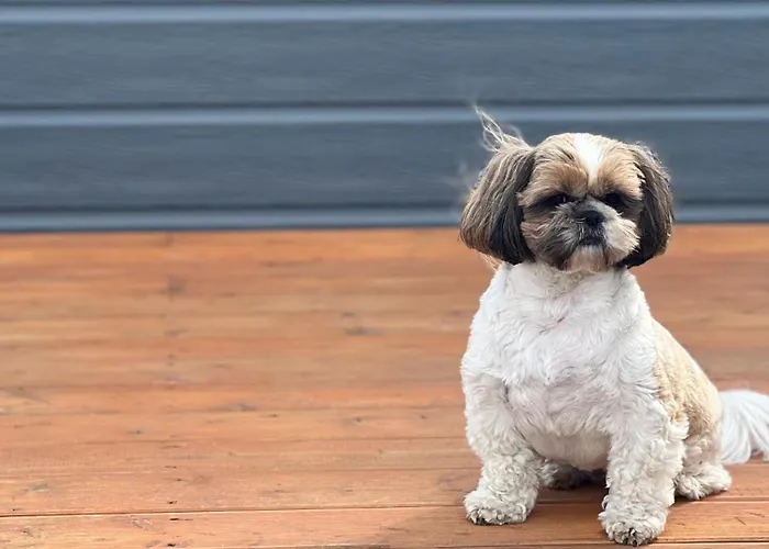 펜션 Nad Kamieniem - Caloroczne